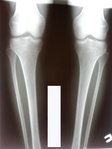 IMG-20180618-WA0019.jpg